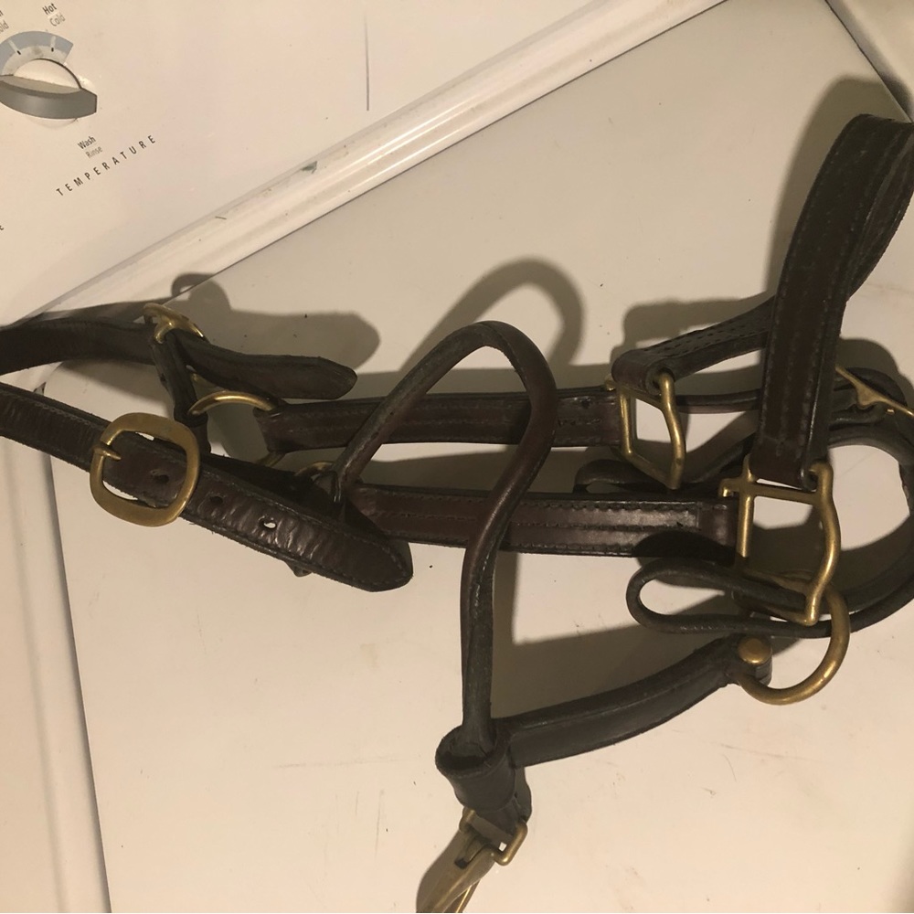 Full size halter Havana leather. By State Line Tack